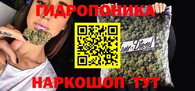 прущие грибы Анжеро-Судженск