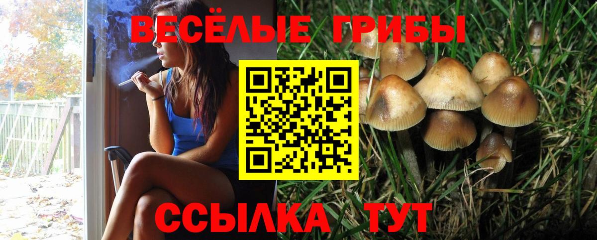 Псилоцибиновые грибы Magic Shrooms  Псилоцибиновые грибы Psilocybine cubensis  Красноуфимск  Вход с VPN 